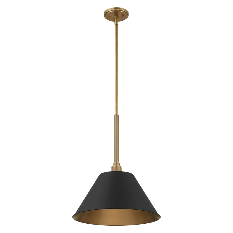 Mcgill 16" Pendant Light - Natural Brass / Matte Black
