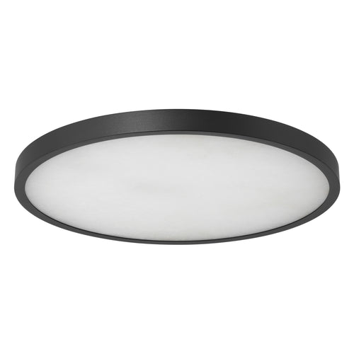 Argyle 24" 5CCT LED Flush Mount - Textured Black / Alabaster